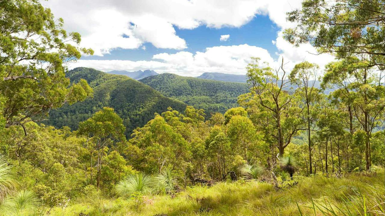 Sherwood Lookout