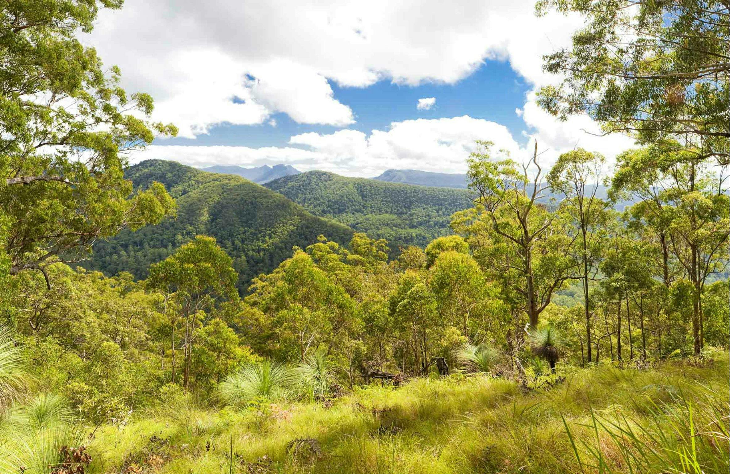 Sherwood Lookout | NSW Holidays & Accommodation, Things to Do