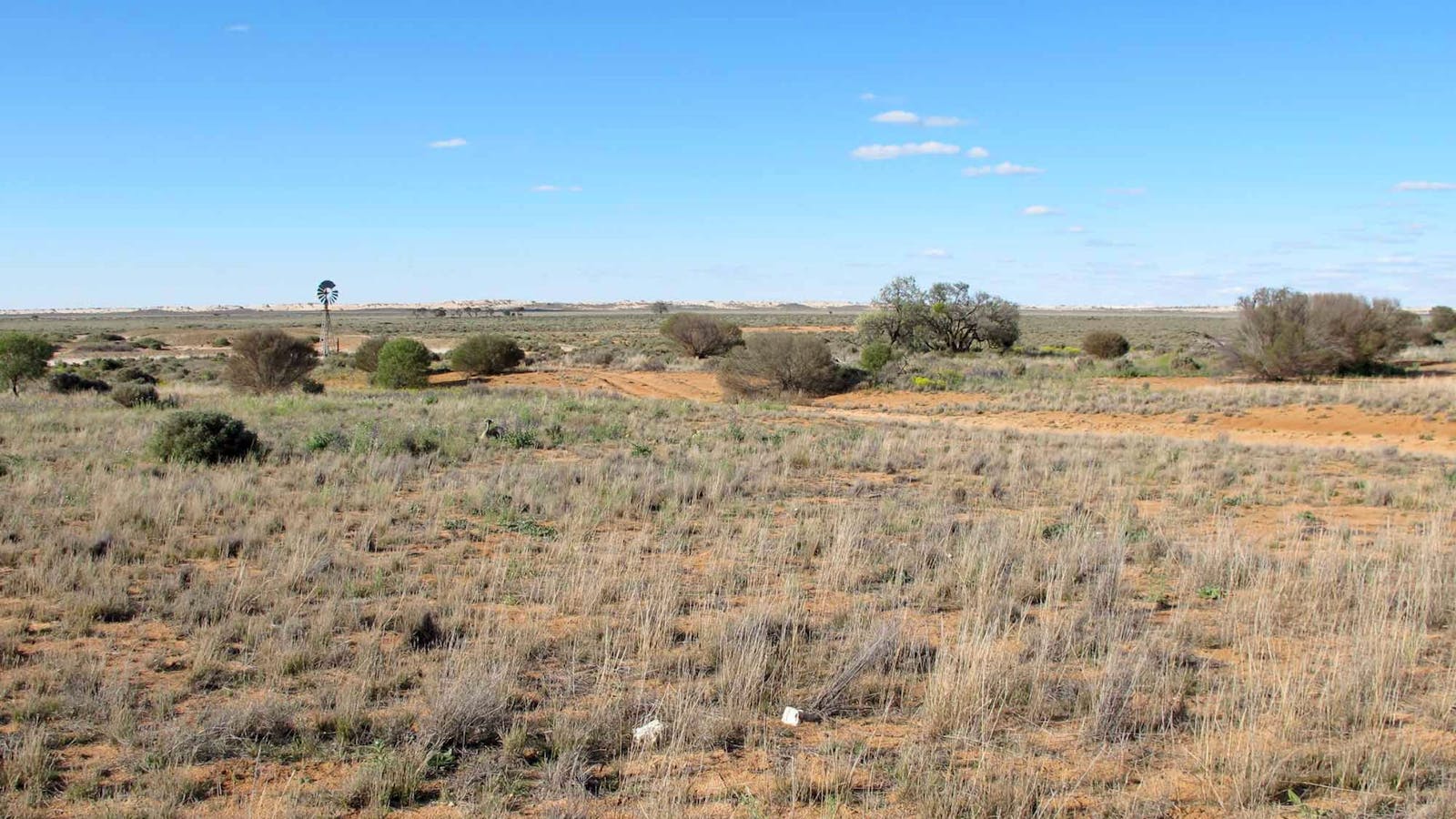 Mungo Self-Guided Drive Tour