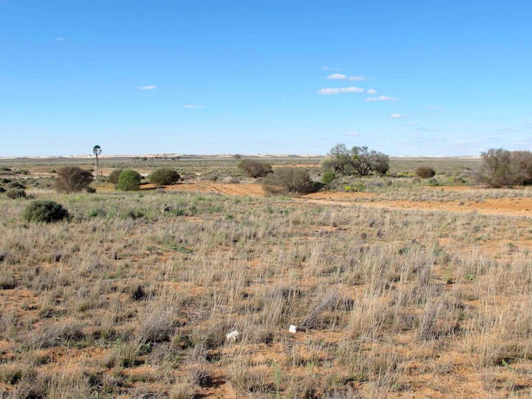 Self-guided Drive tour, Mungo National Park. Photo: Wendy Hills/NSW Government