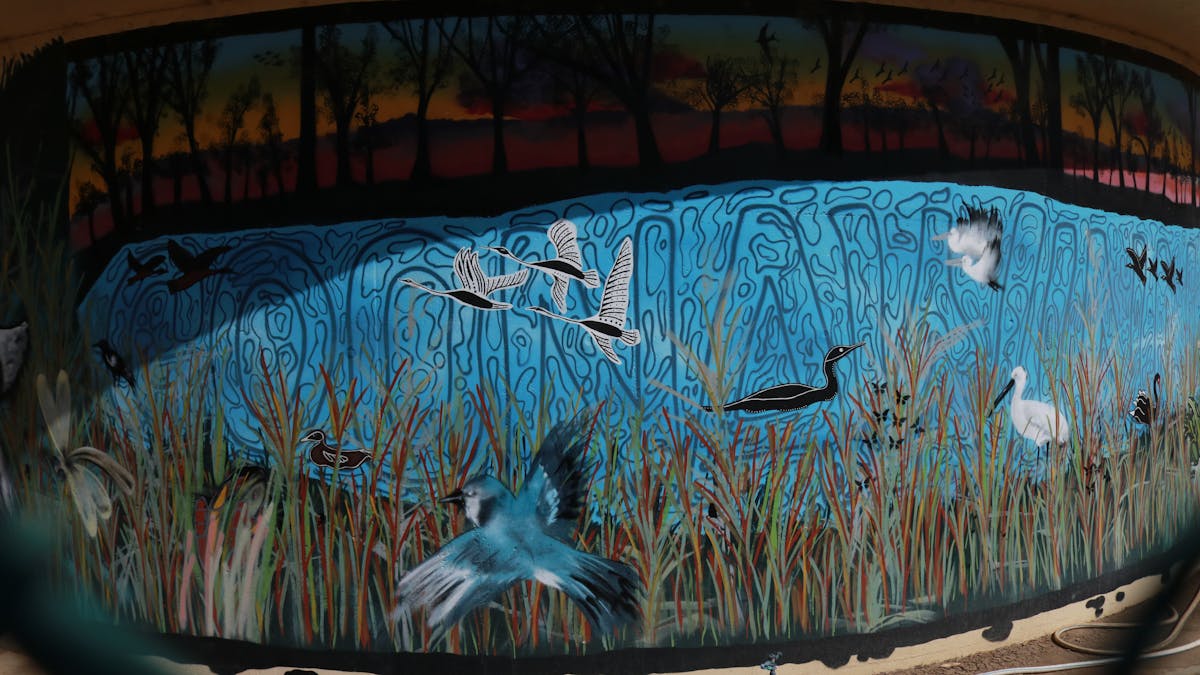 McLean Street Water Tank Mural image of water birds amongst reeds McLean Street Water Tank Mural image of water birds amongst reeds