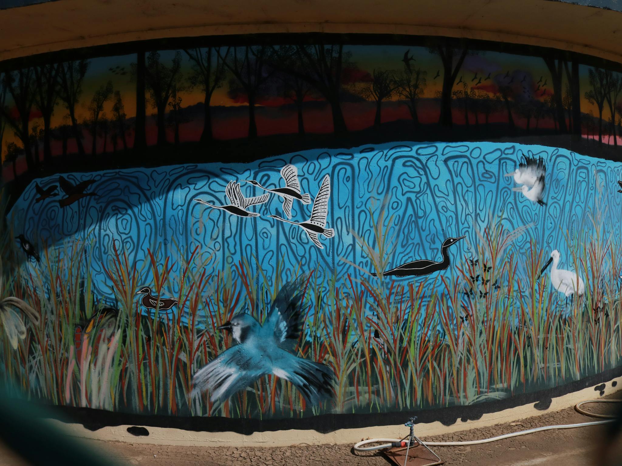 McLean Street Water Tank Mural image of water birds amongst reeds McLean Street Water Tank Mural image of water birds amongst reeds
