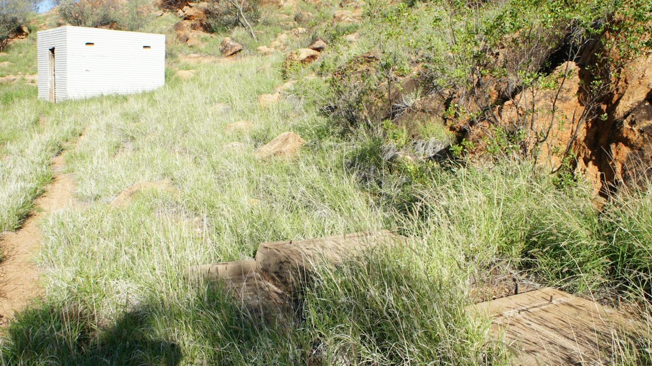 Spencer Hill WWII sites. Note the intrusion of buffel grass.