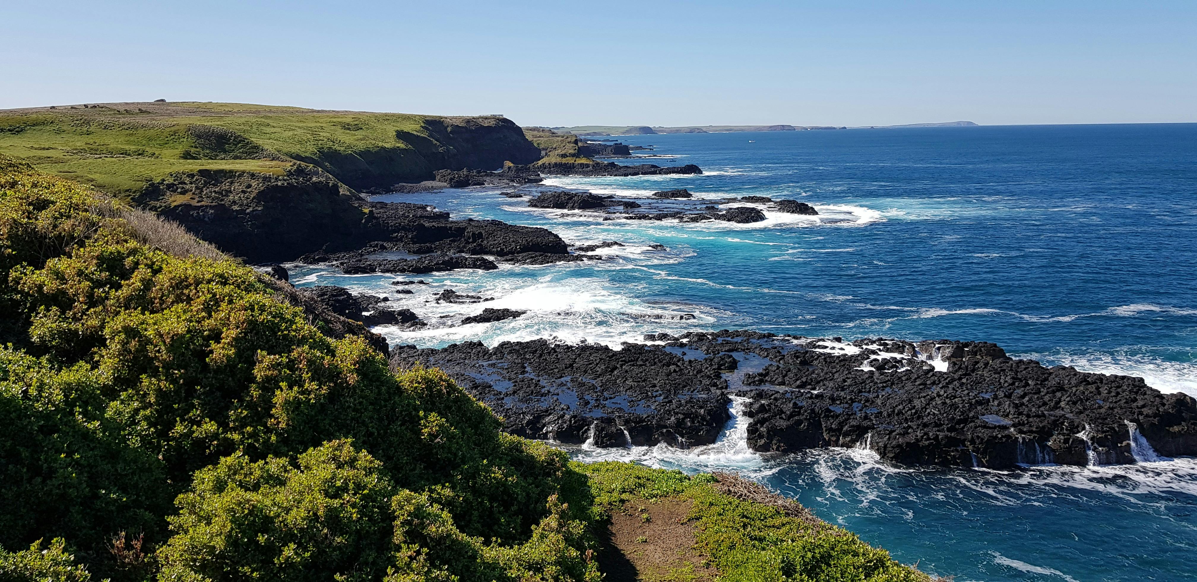 Phillip Island Private Day Tours