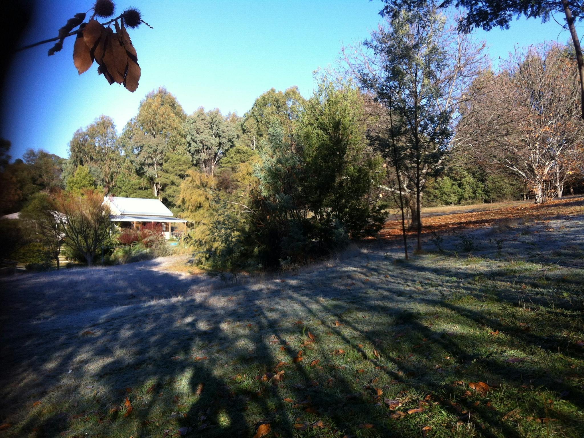 Winter Cottage