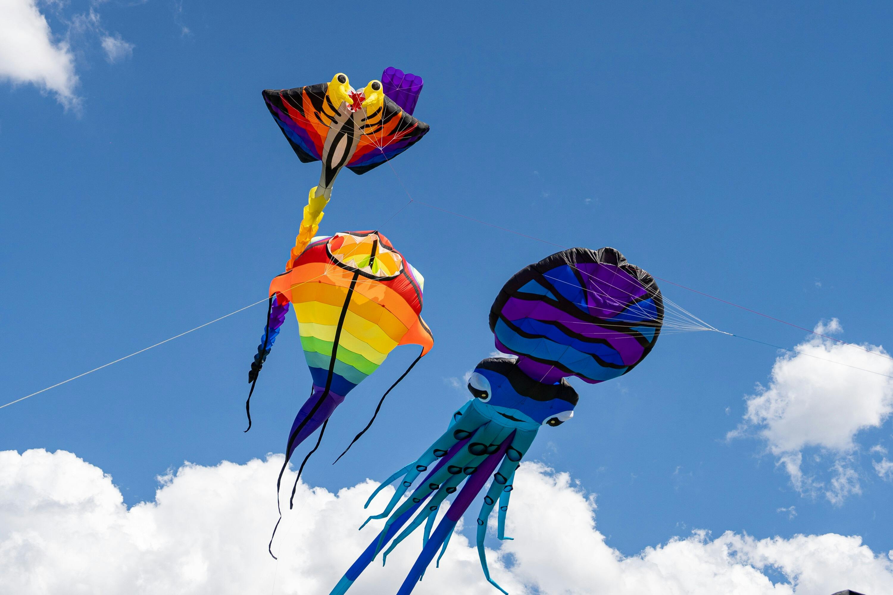 Tarneit Kite Festival