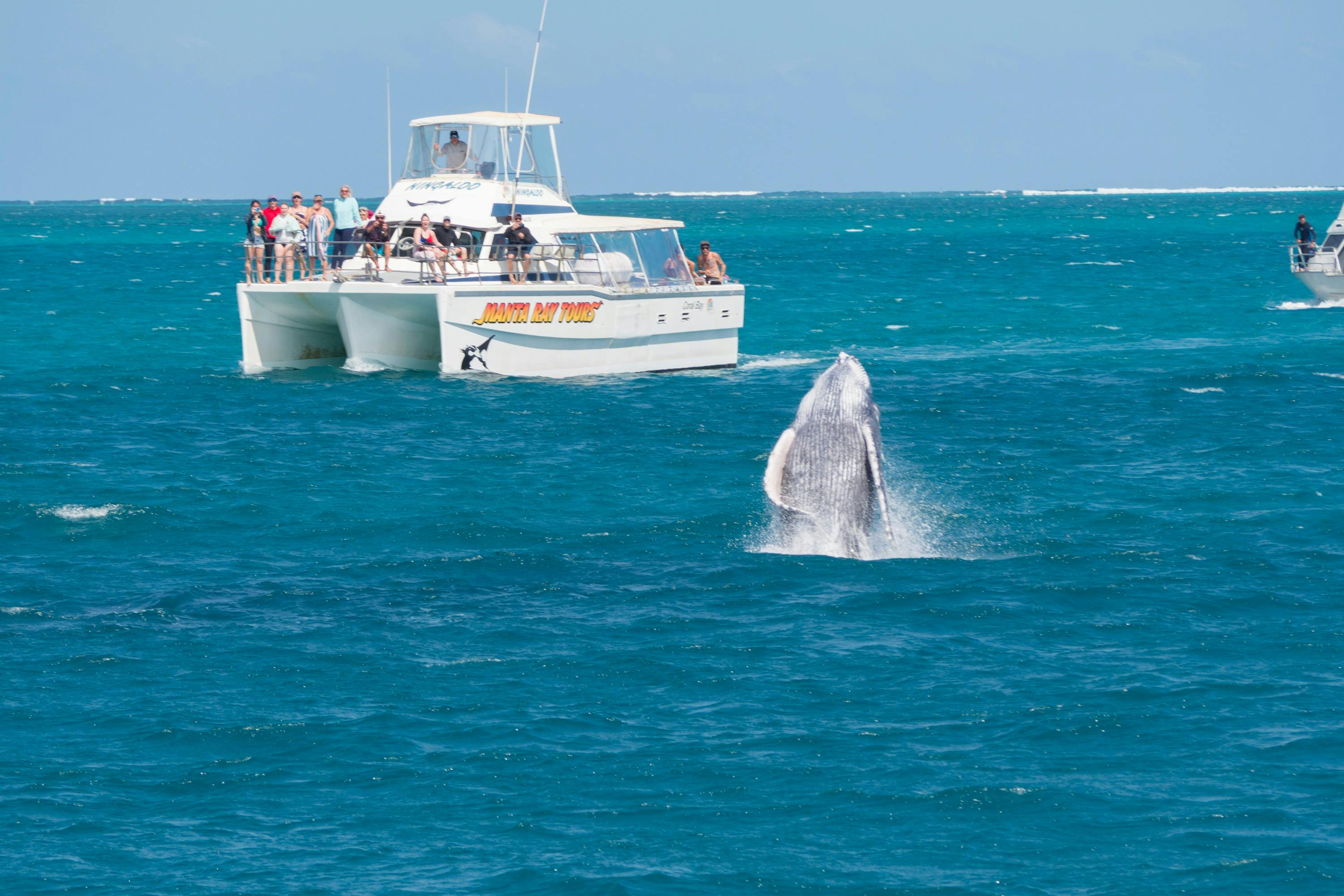 Ningaloo Coral Bay Boats, Coral Bay, Western Australia