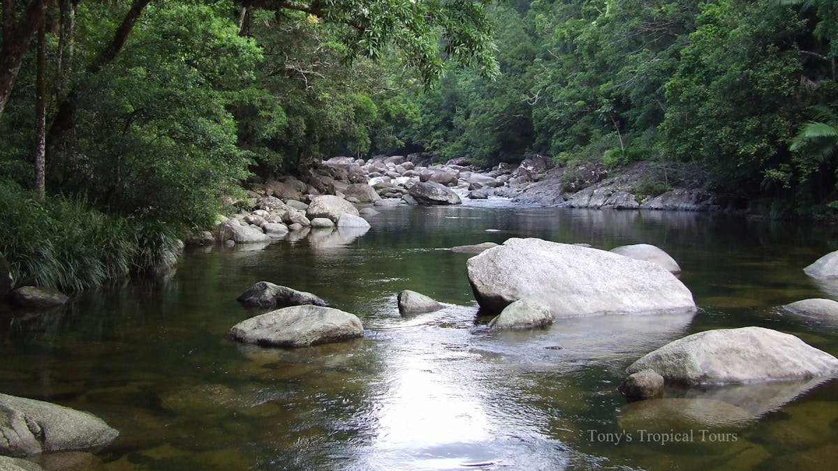 Mossman Gorge Tony's Tropical Tours