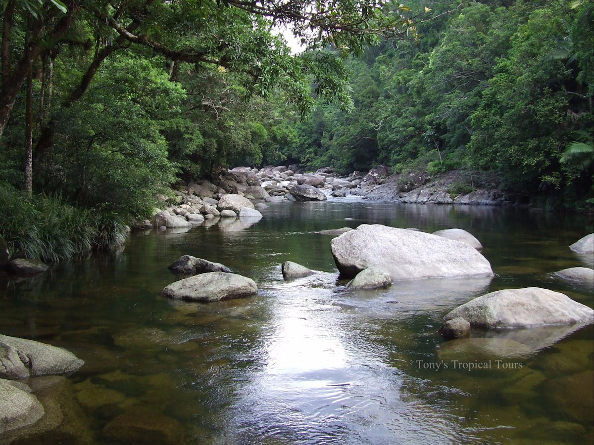 Mossman Gorge Tony's Tropical Tours