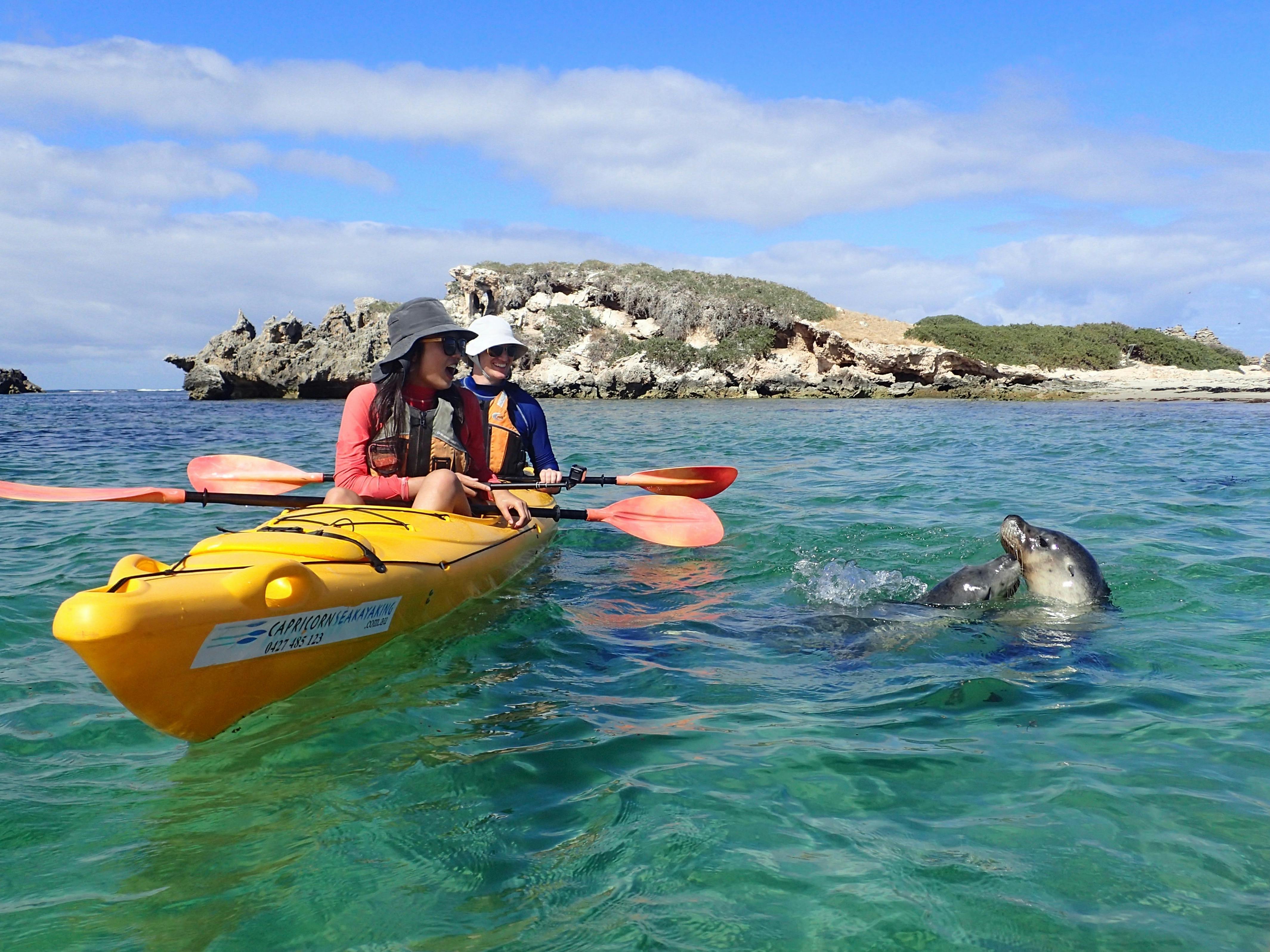Capricorn Sea Kayaking, Shoalwater, Western Australia