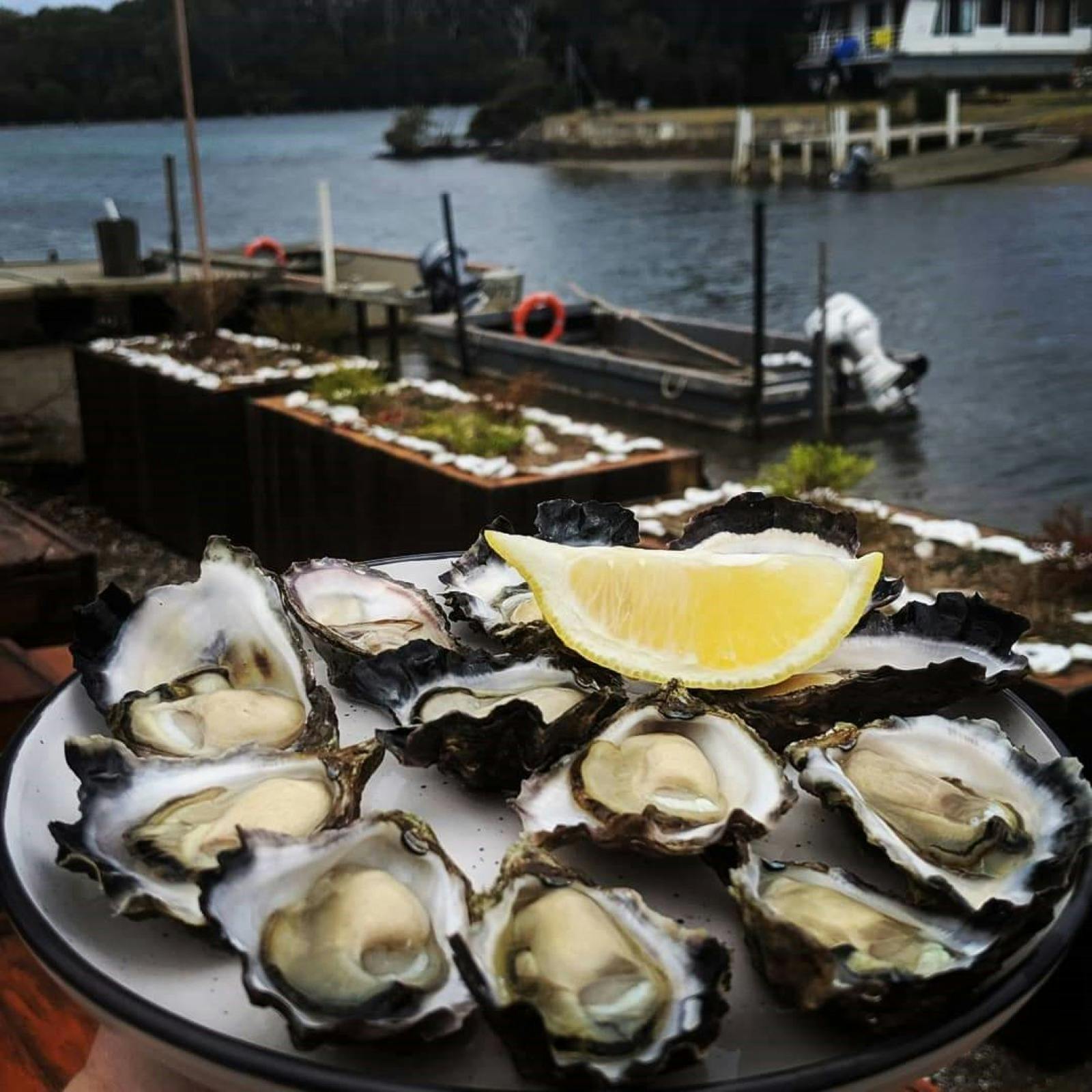 Fresh Sydney Rock Oysters