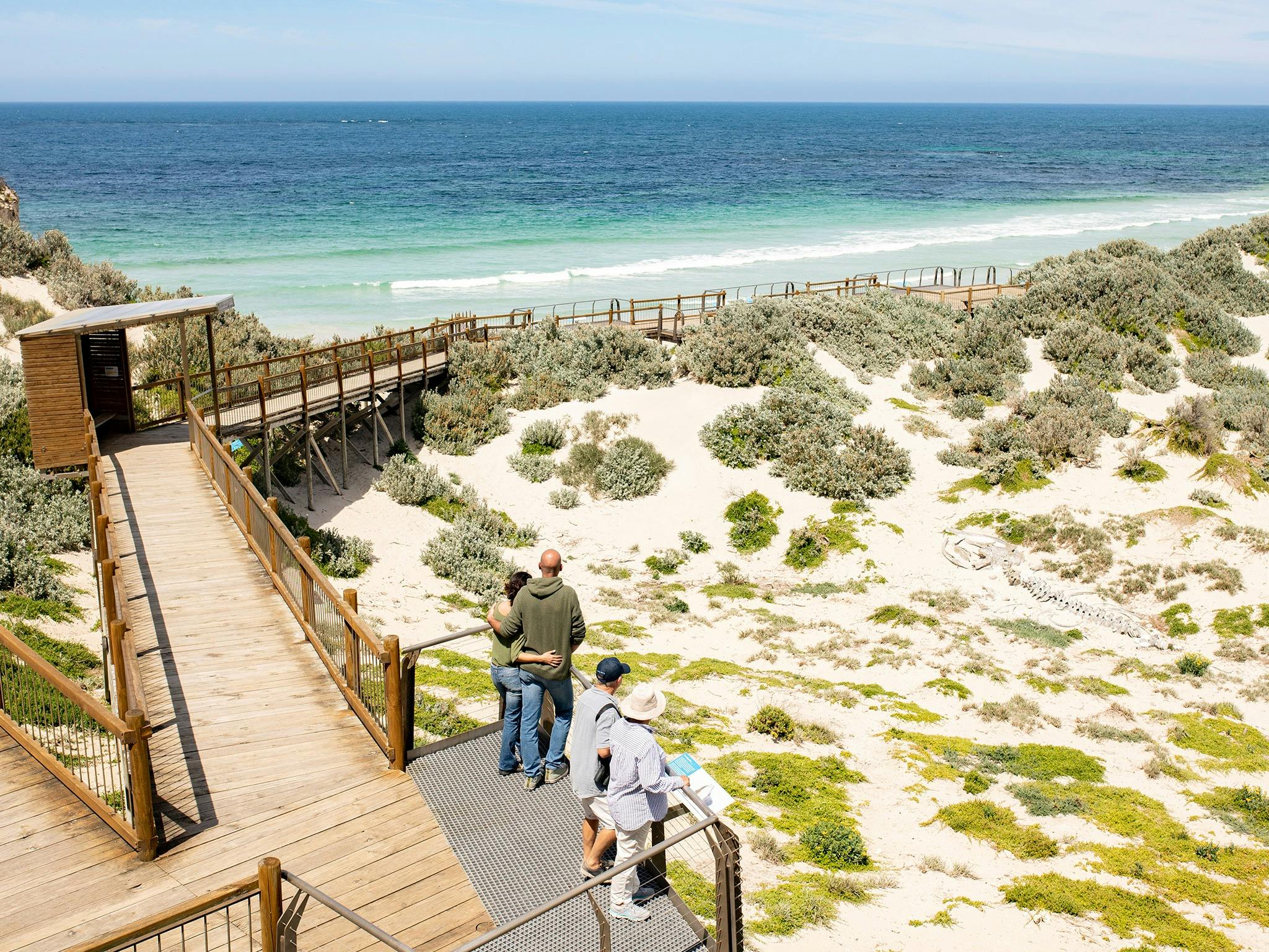 Two people look at the sight of whale bones at the Seal Bay Boardwalk
