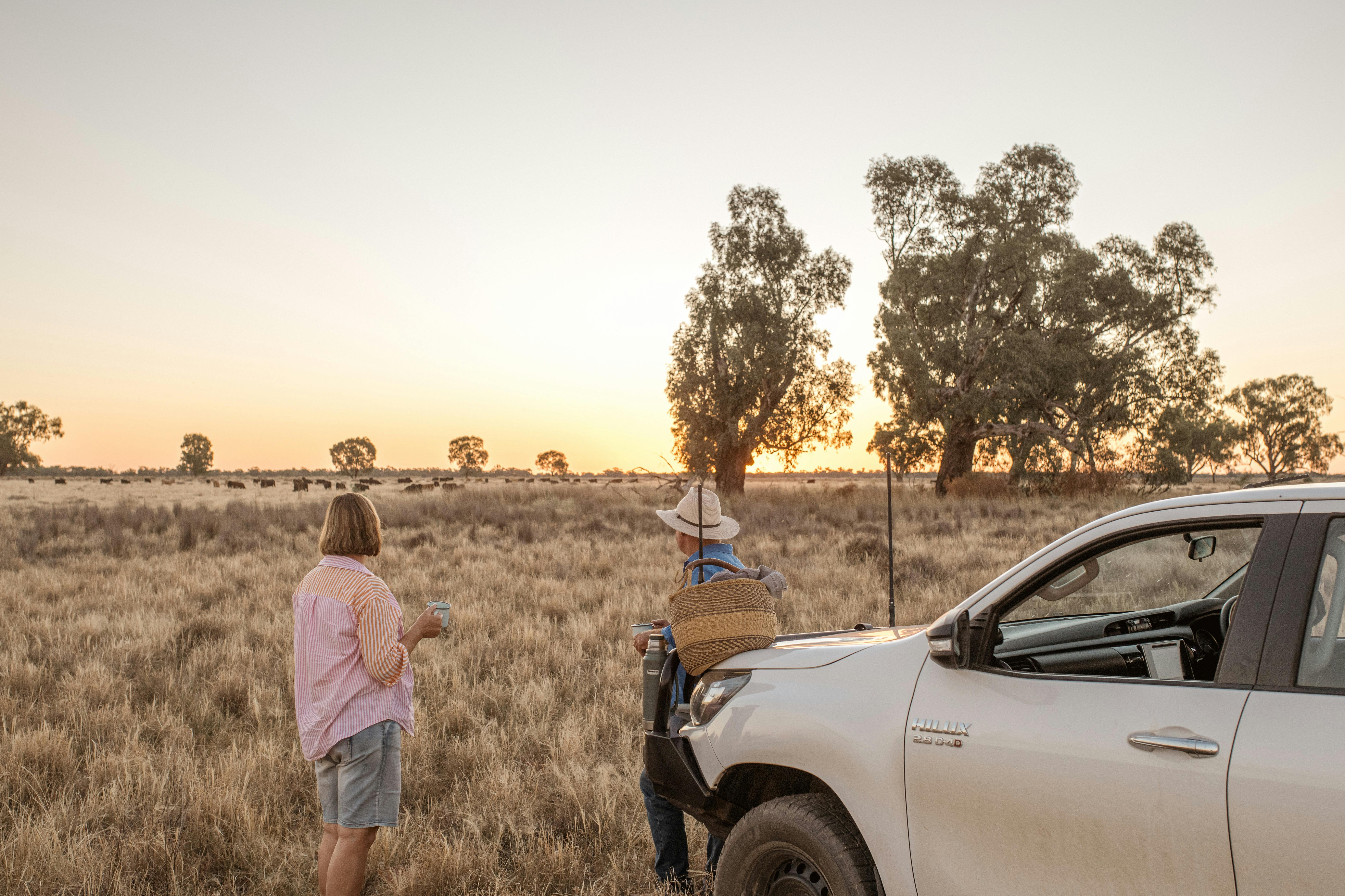 A farm tour with a vehicle and two people in a paddock having a picnic at dusk with golden light