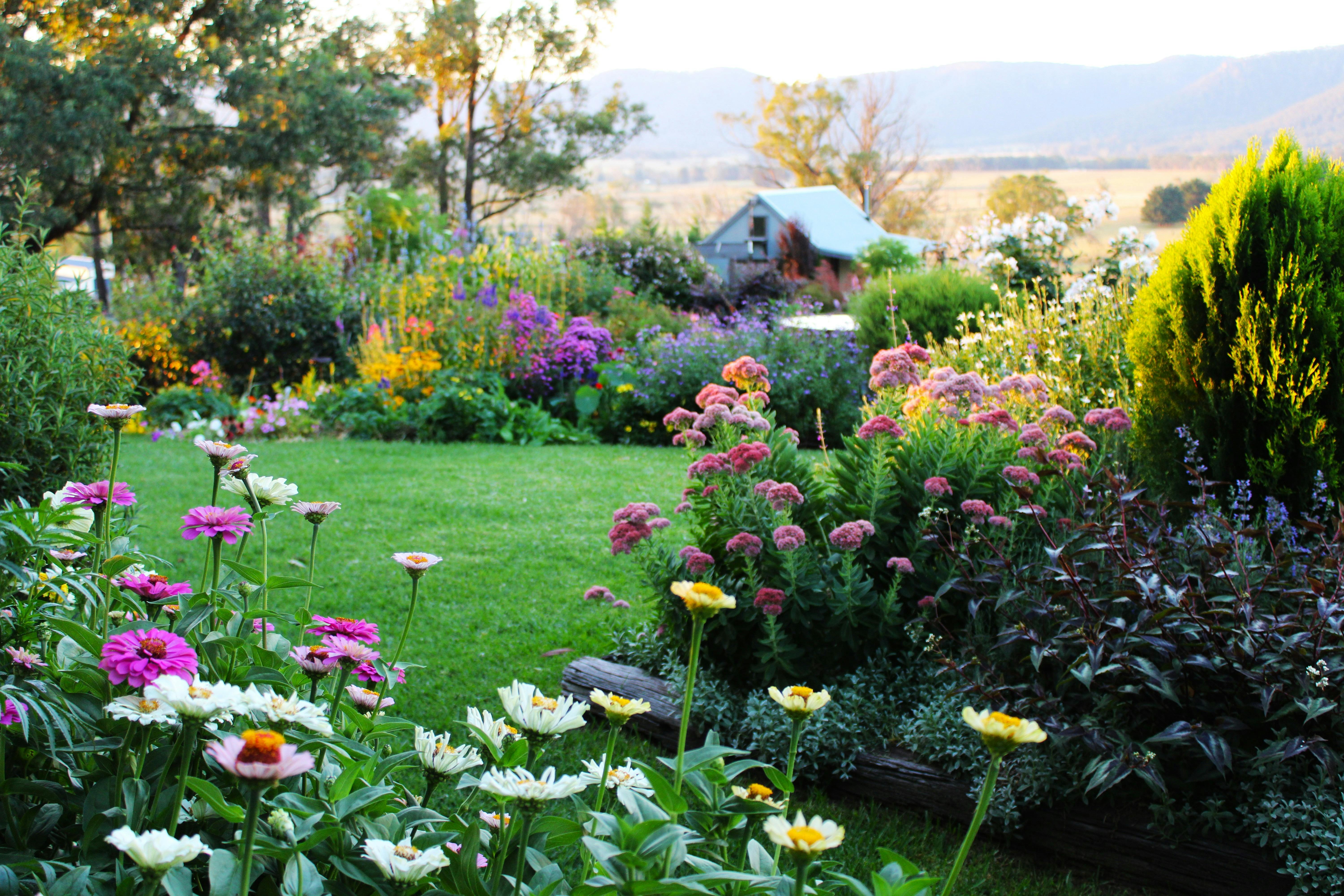 The gardens are a riot of colour
