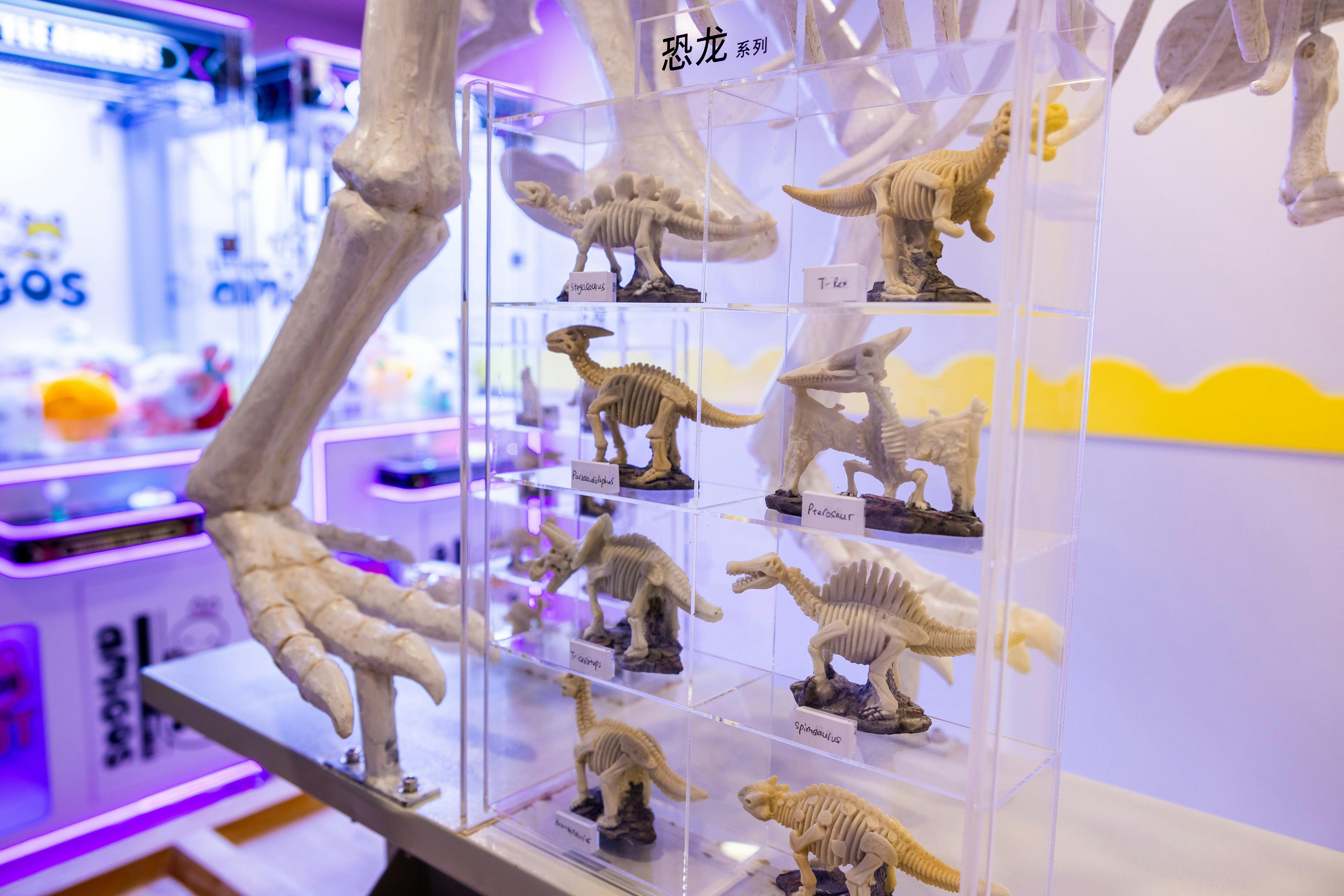 Dig and discover workshops