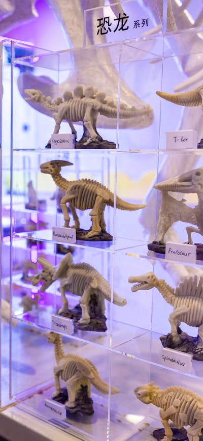 Dig and discover workshops