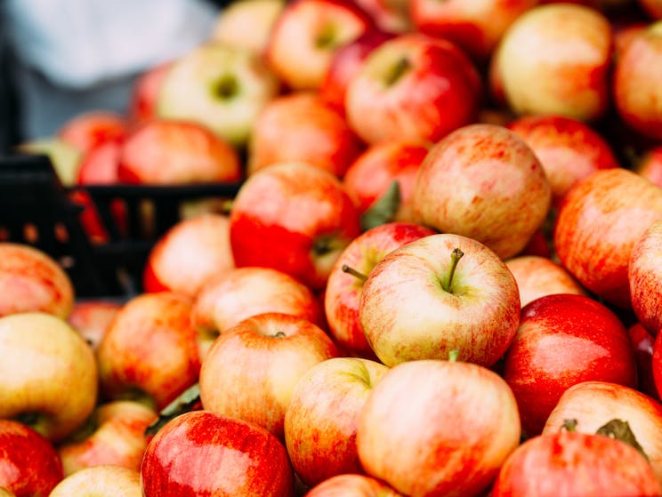 Close up of a basket of fresh gala apples