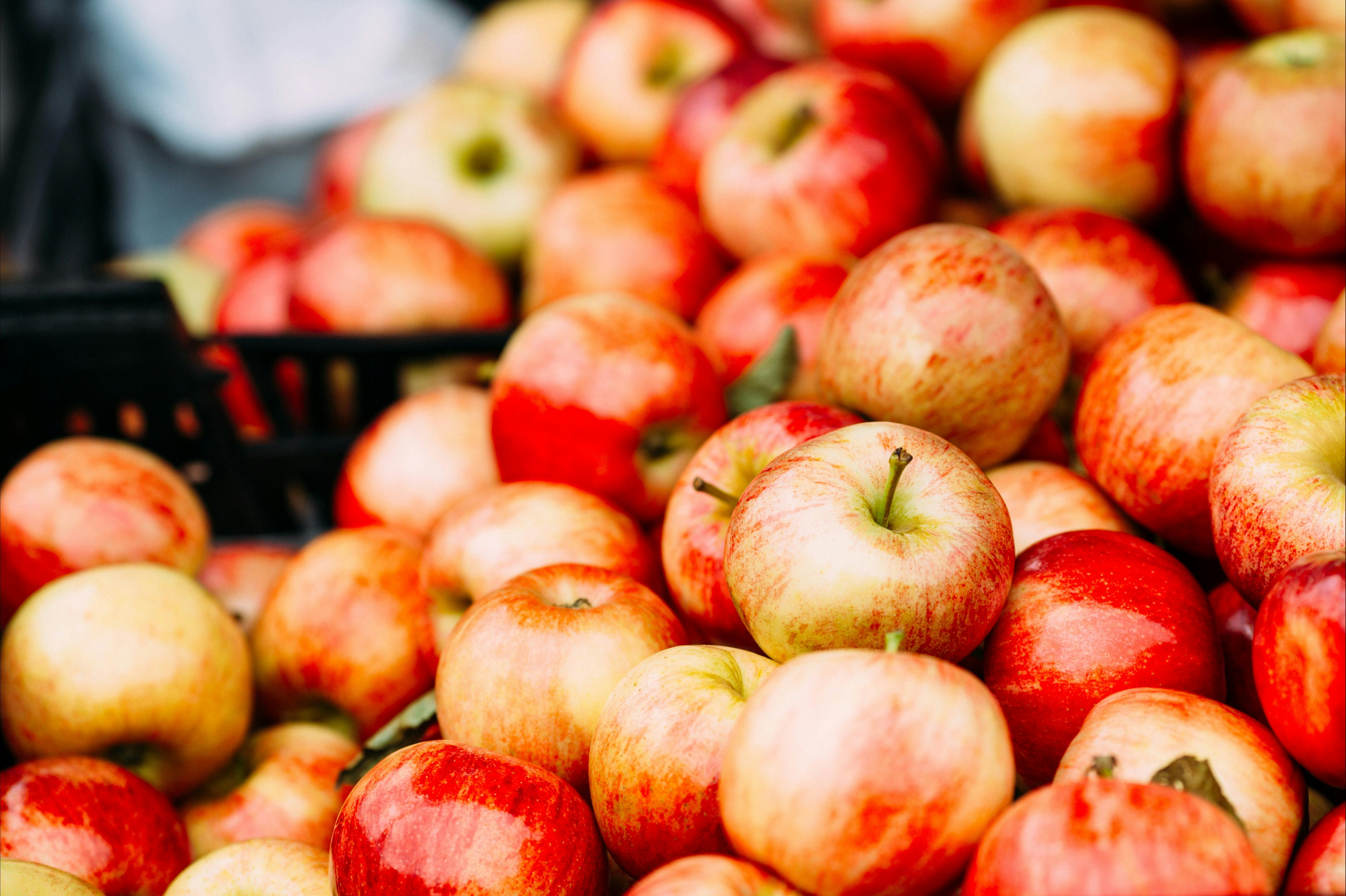 Close up of a basket of fresh gala apples