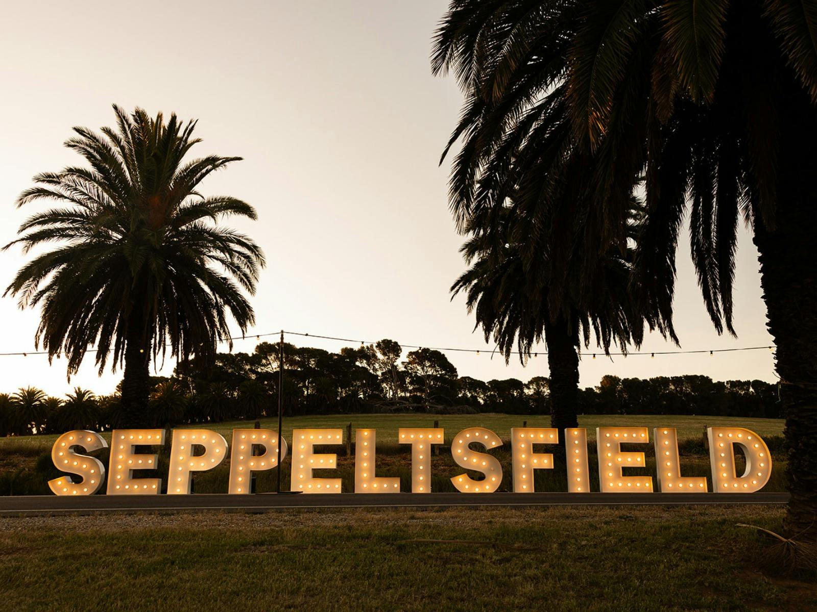 Sunset on Seppeltsfield Road Barossa Valley Event