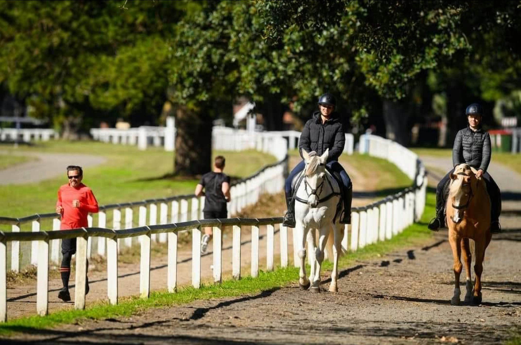 Centennial Equestrian