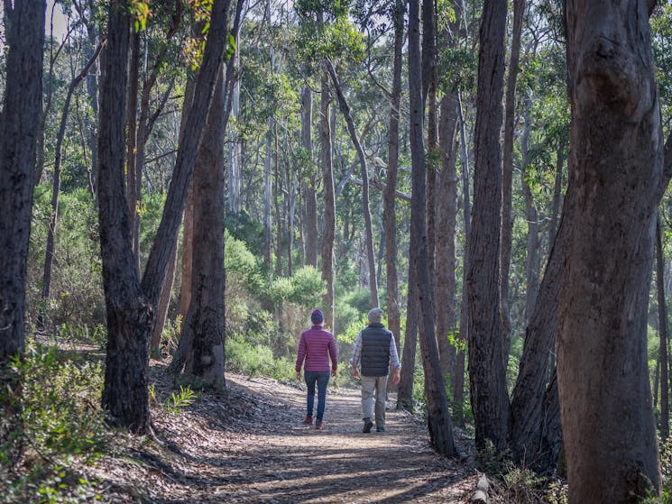 Bundian Way Story Walk