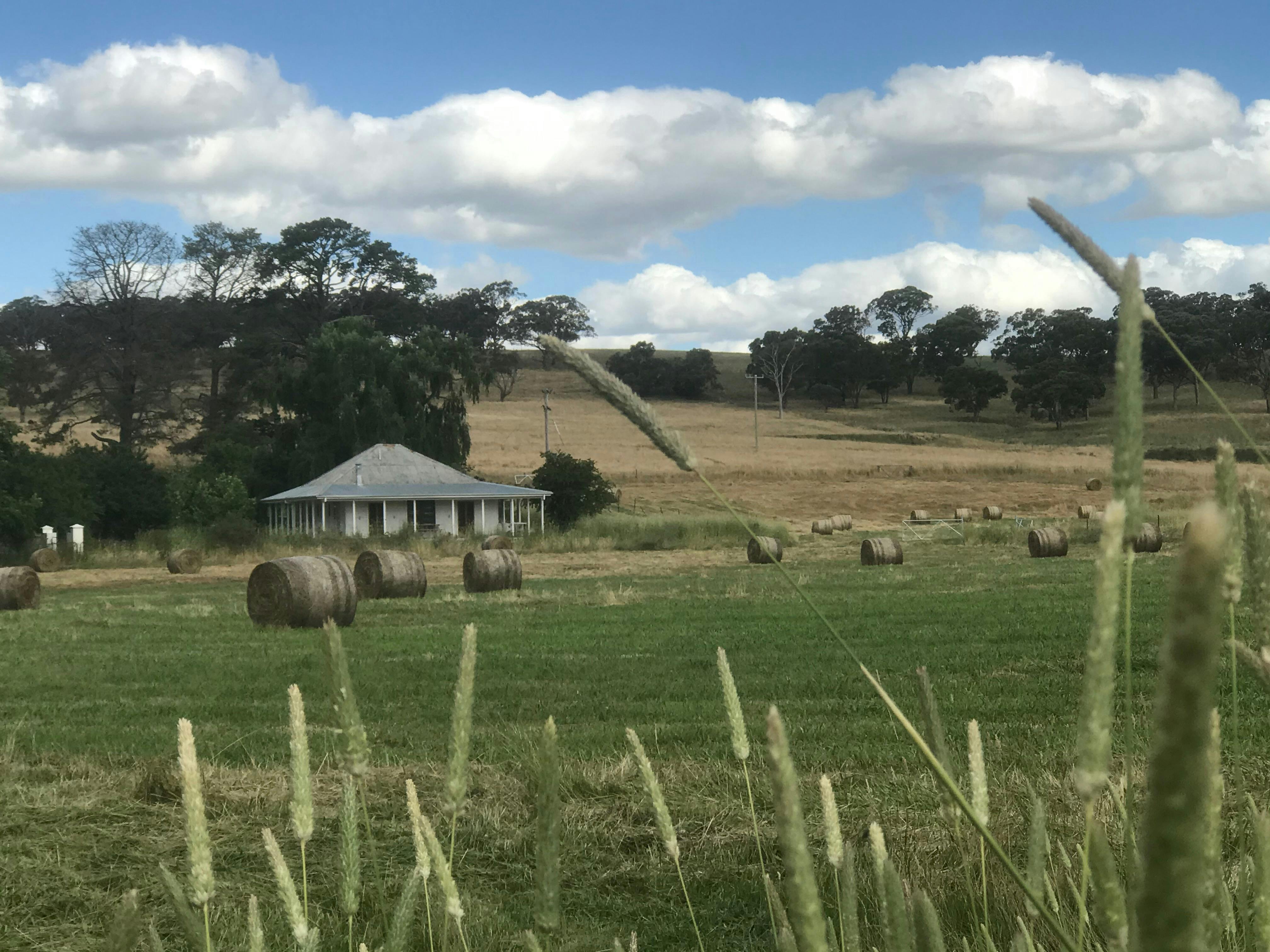 Views to mount Canobalas