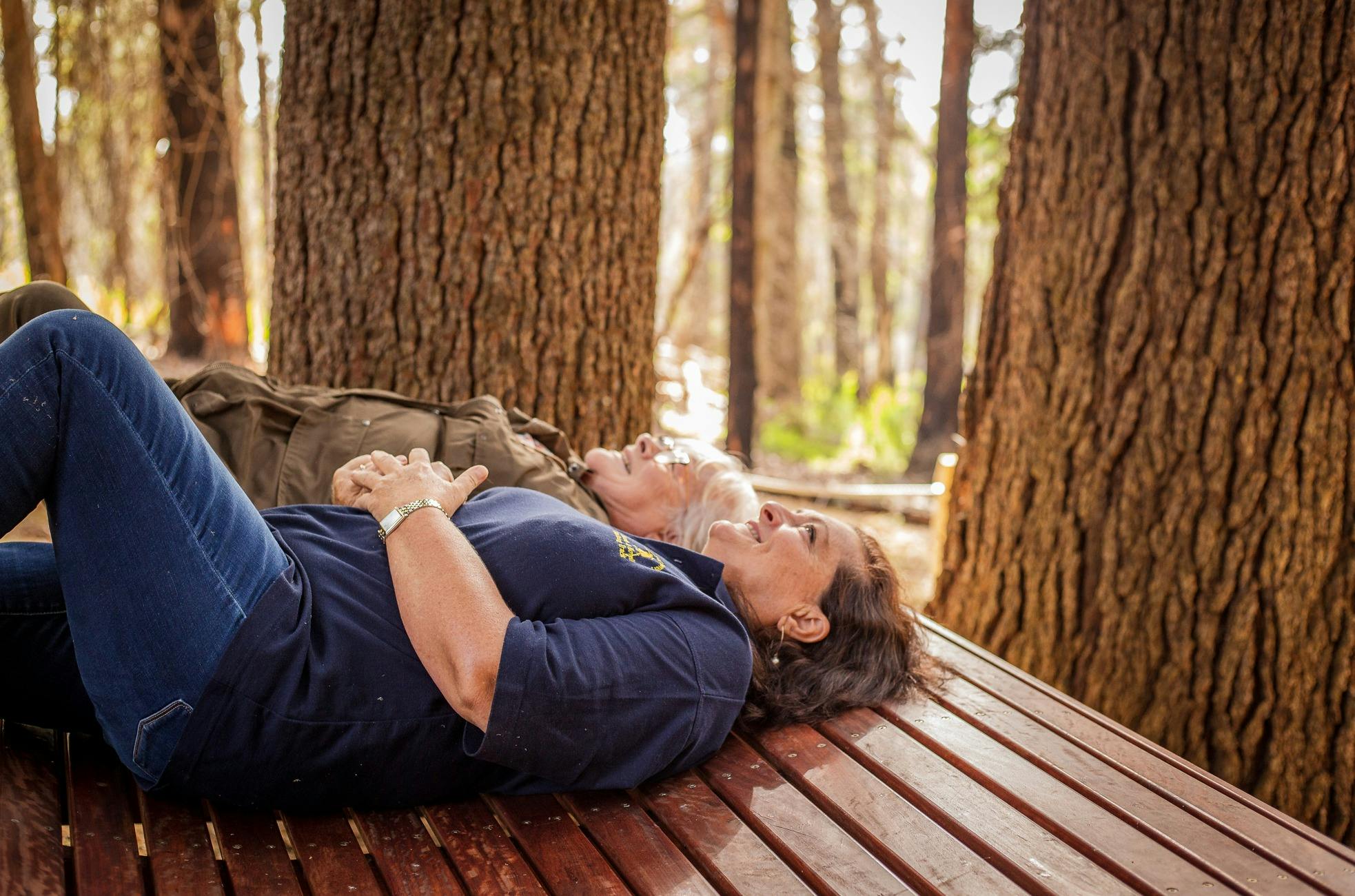 Sky Seat on the Wellness Walk, Bago State Forest