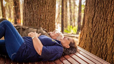 Sky Seat on the Wellness Walk, Bago State Forest