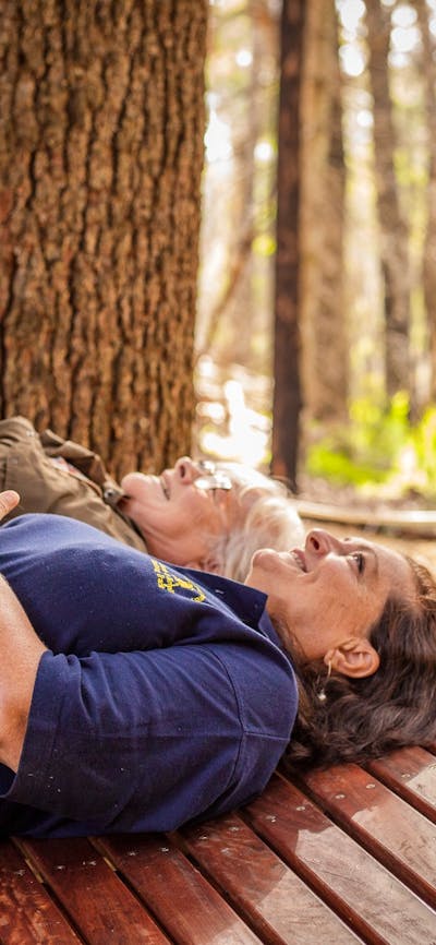 Sky Seat on the Wellness Walk, Bago State Forest