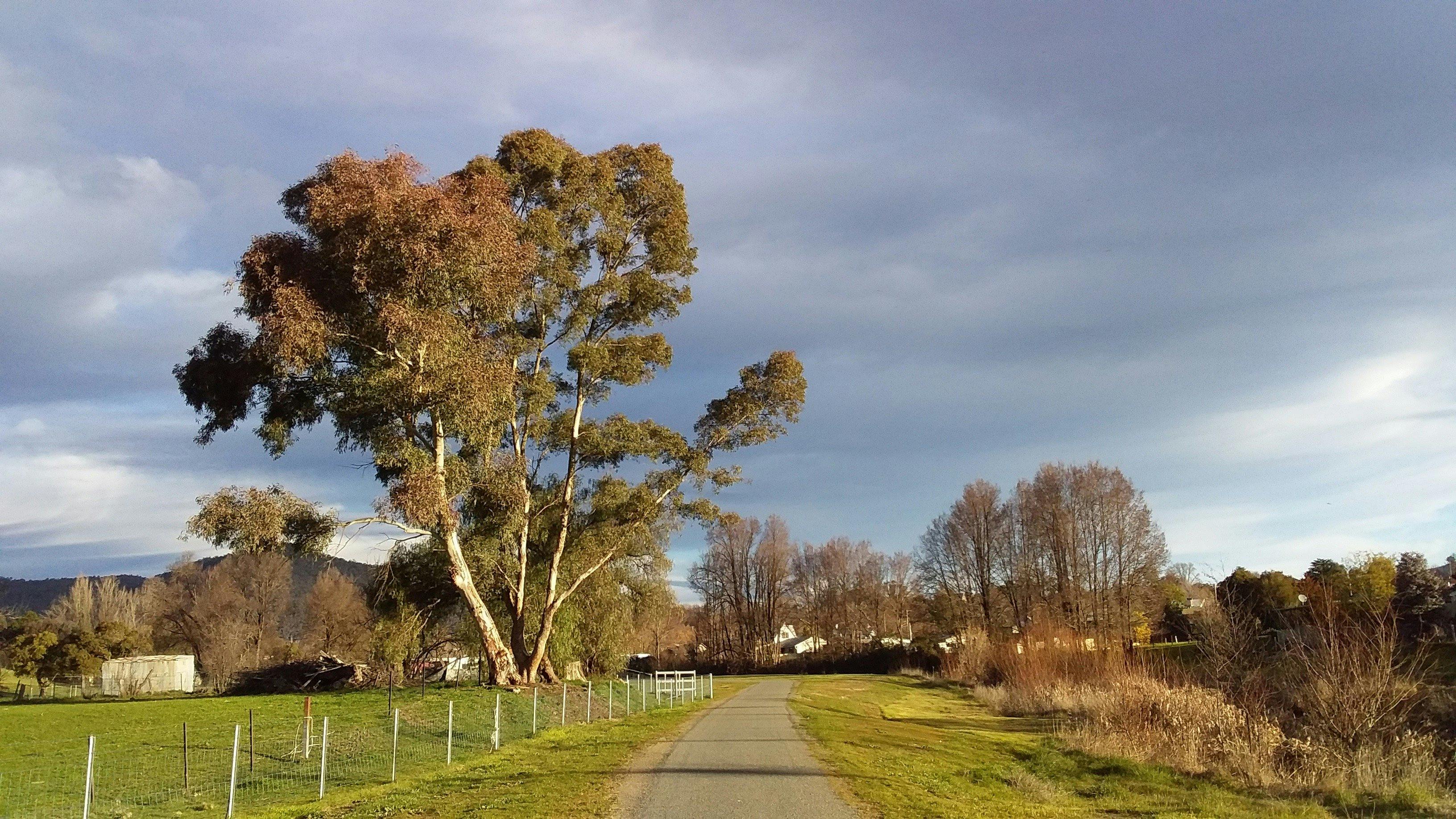 The Adelong Falls Walk, looking back towards Adelong. Snowy Valleys, NSW.