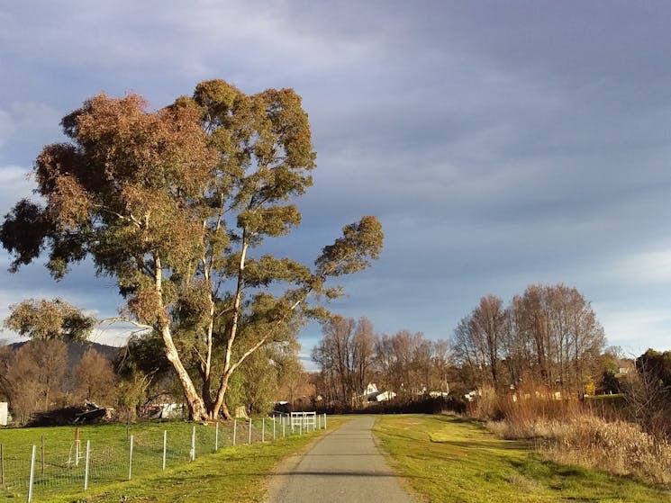 The Adelong Falls Walk, looking back towards Adelong. Snowy Valleys, NSW.