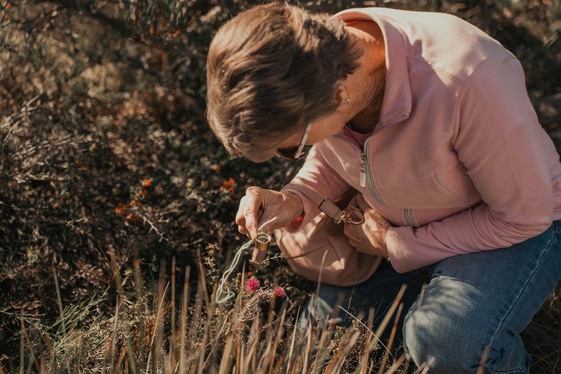 Wildflower trails