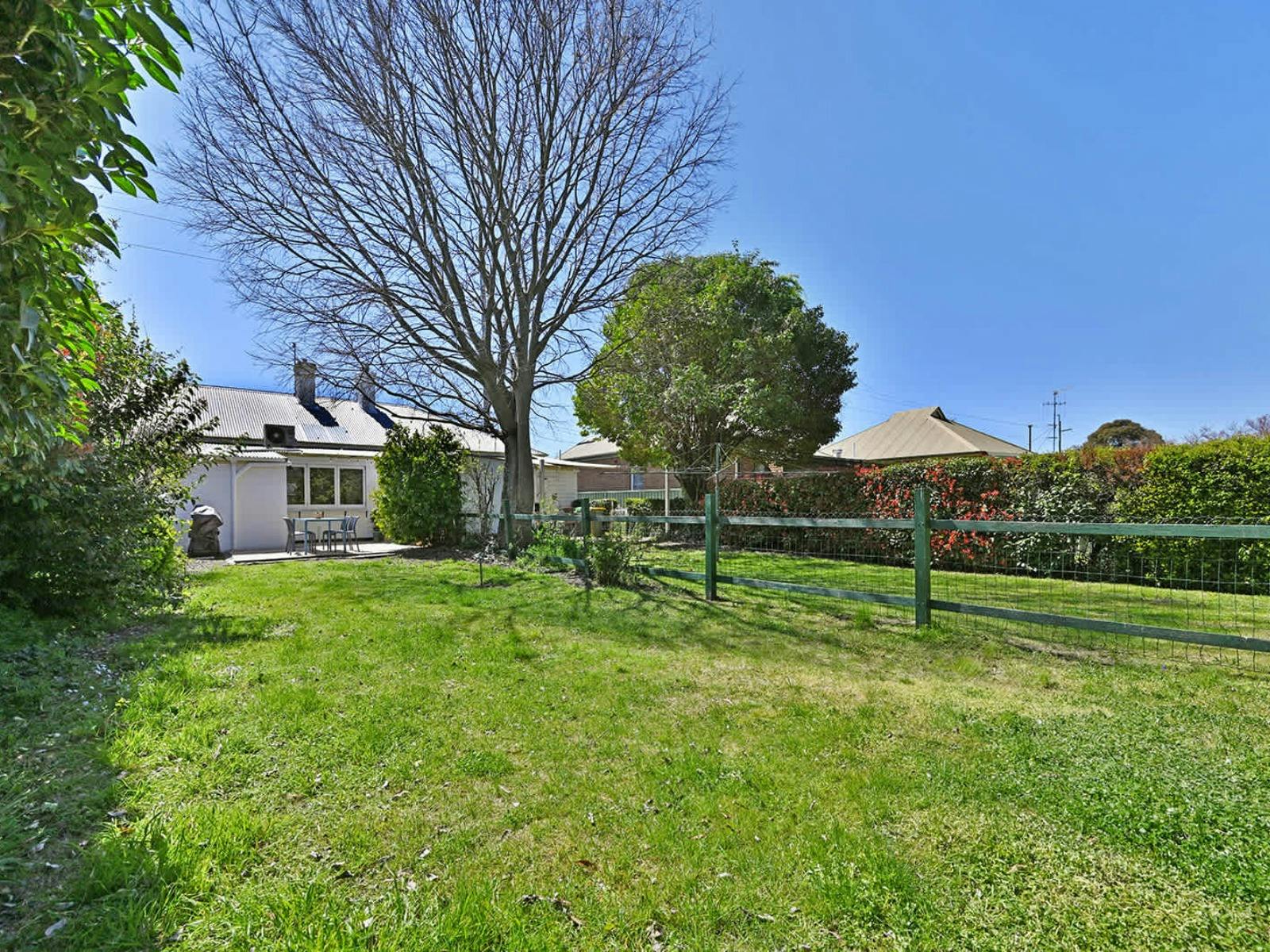 Large backyard with green wire fence
