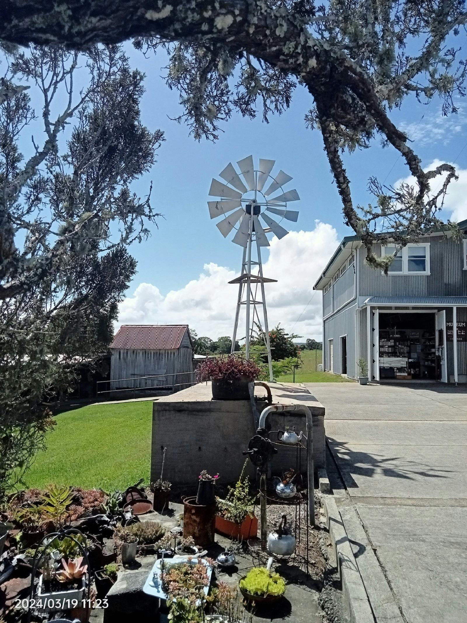 Lawrence Museum Gardens