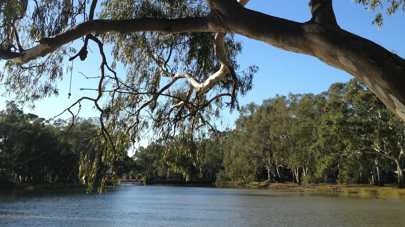 Yarri Creek