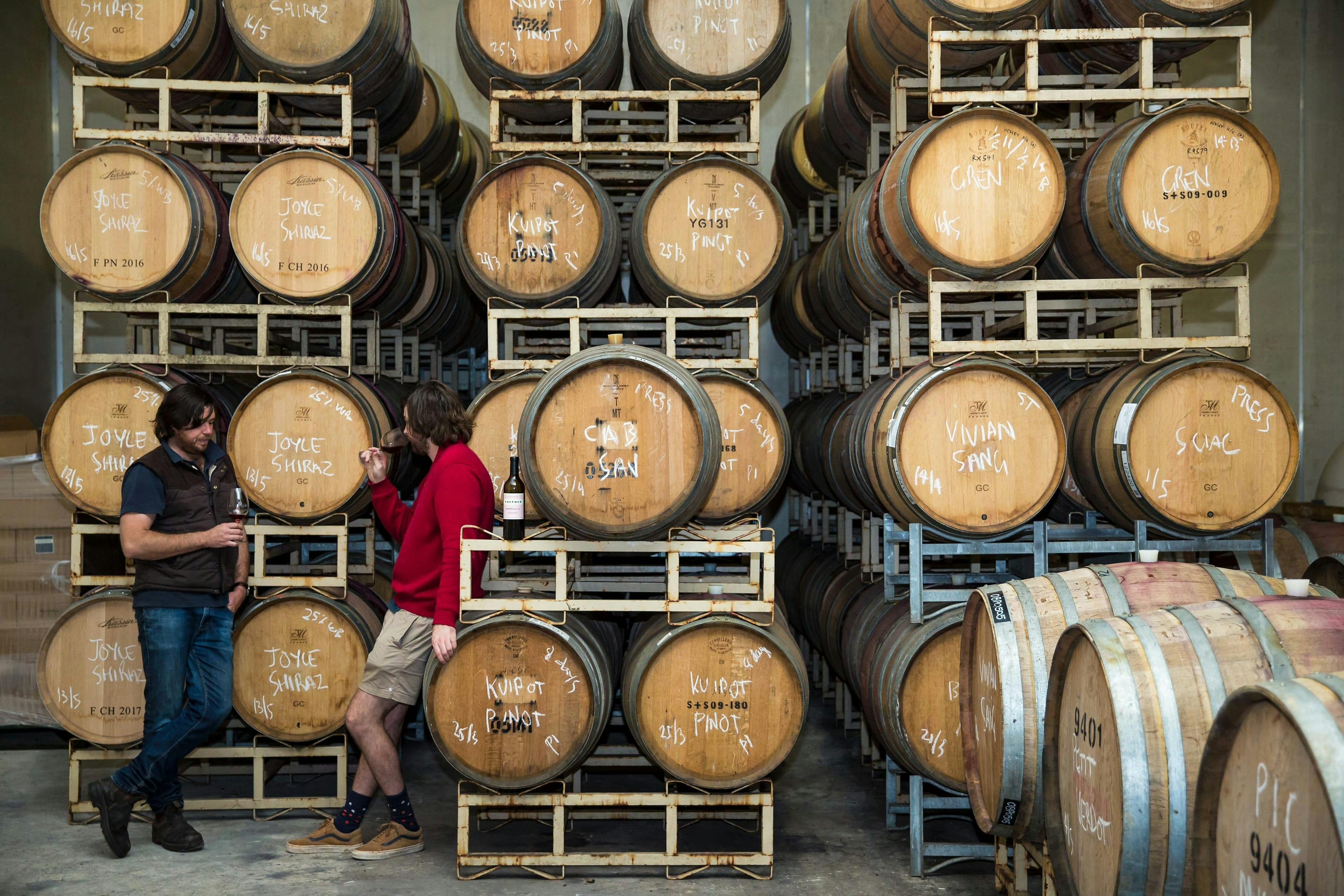 Barrel tasting at Koerner Winery