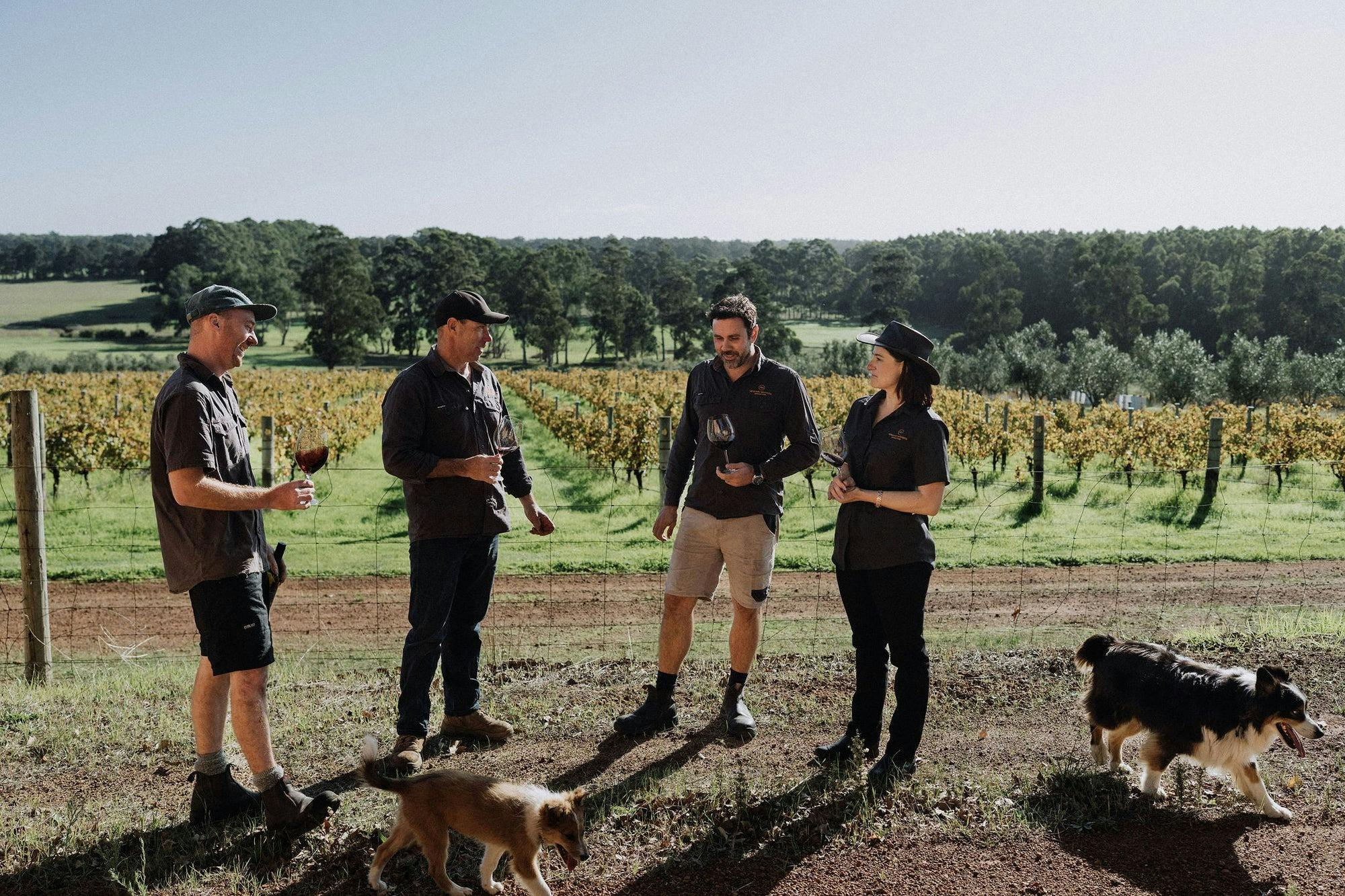 Exclusive Vineyard Wine and Culinary Tour