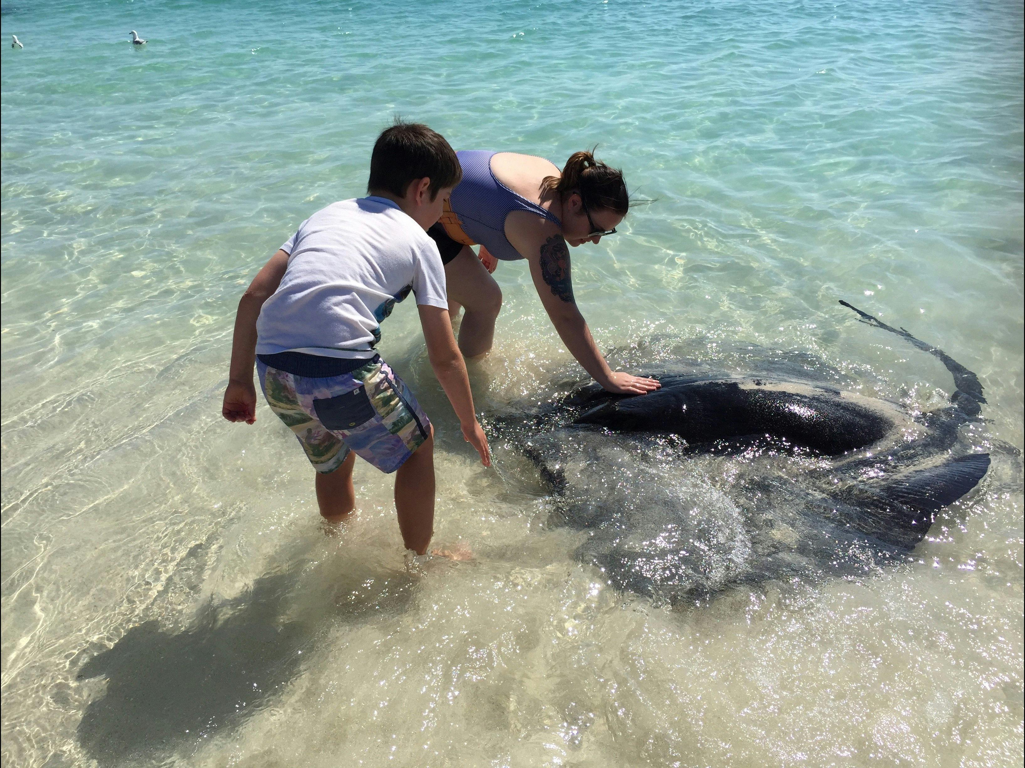 Margaret River Adventure Co, Gnarabup, Western Australia
