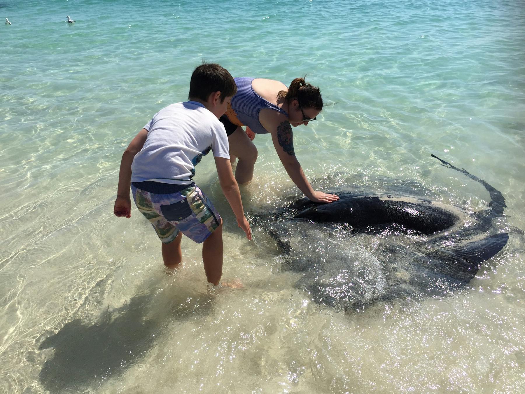 Margaret River Adventure Co, Gnarabup, Western Australia