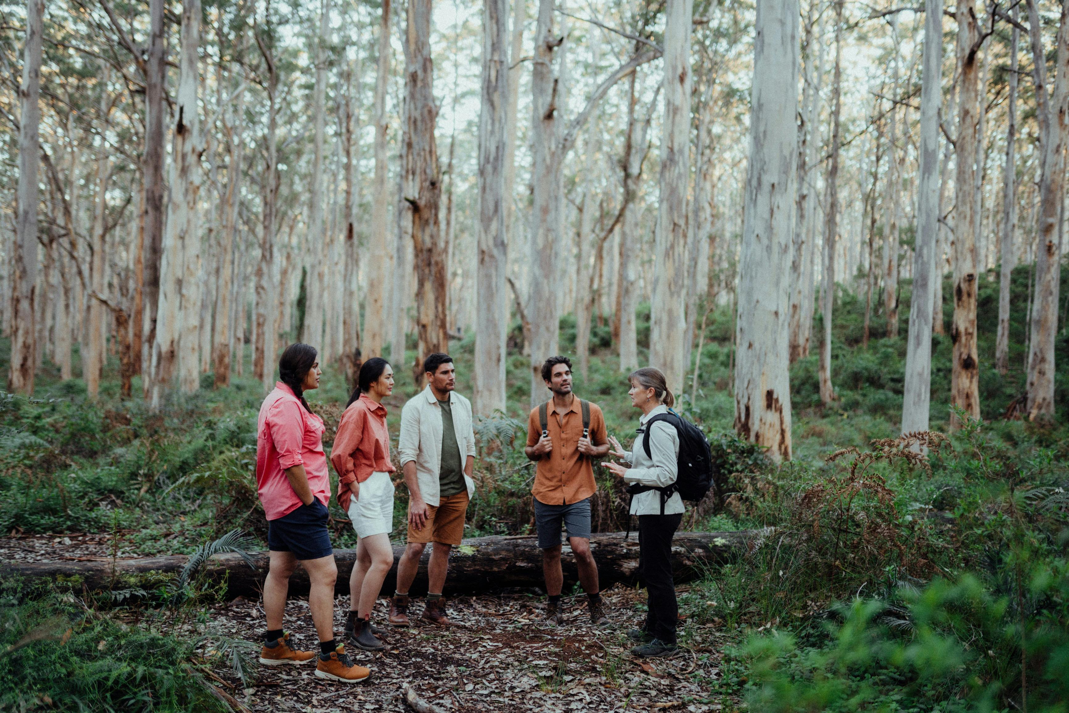 Karri forest