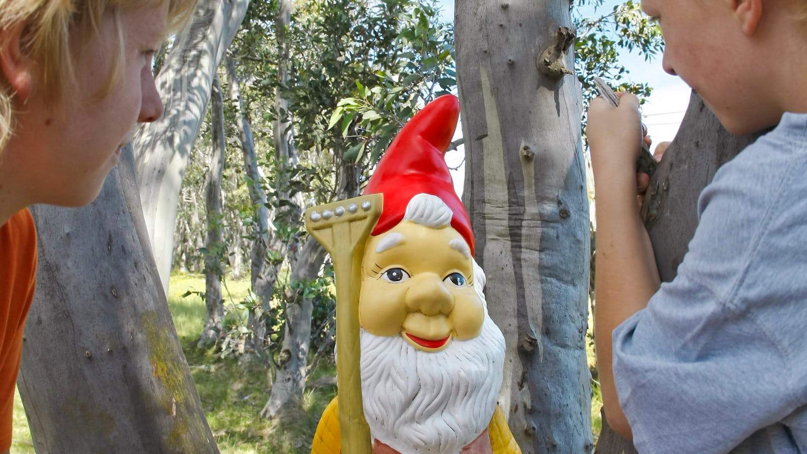 Gnome House and Gnome Roam