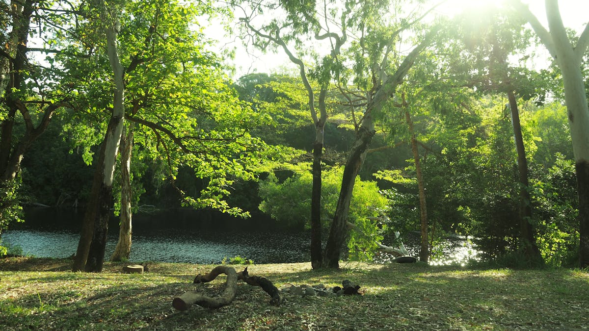 Riverside Picnic area