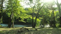 Riverside Picnic area