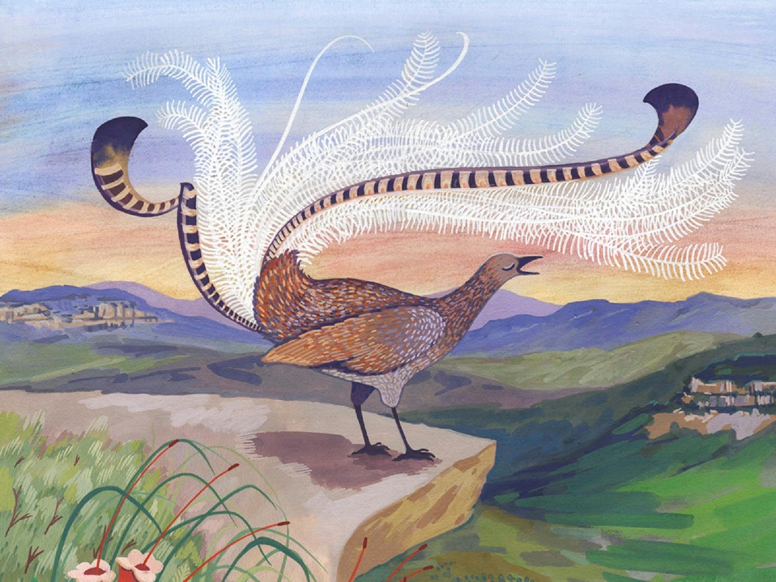 Painting of Leonard the Lyrebird by Eloise Short