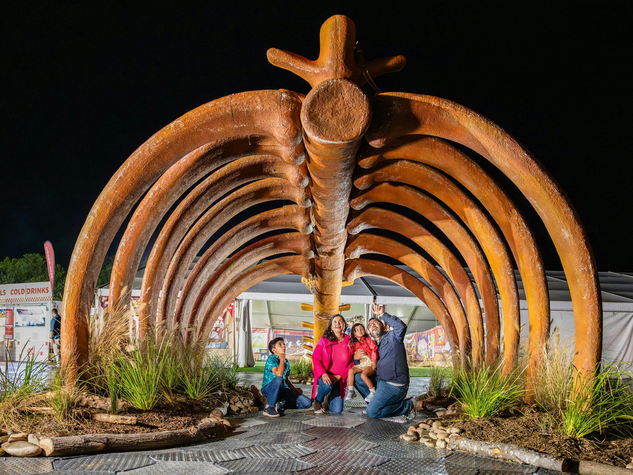 Mega Creatures Night Safari