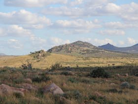 Looking to Camels Hump