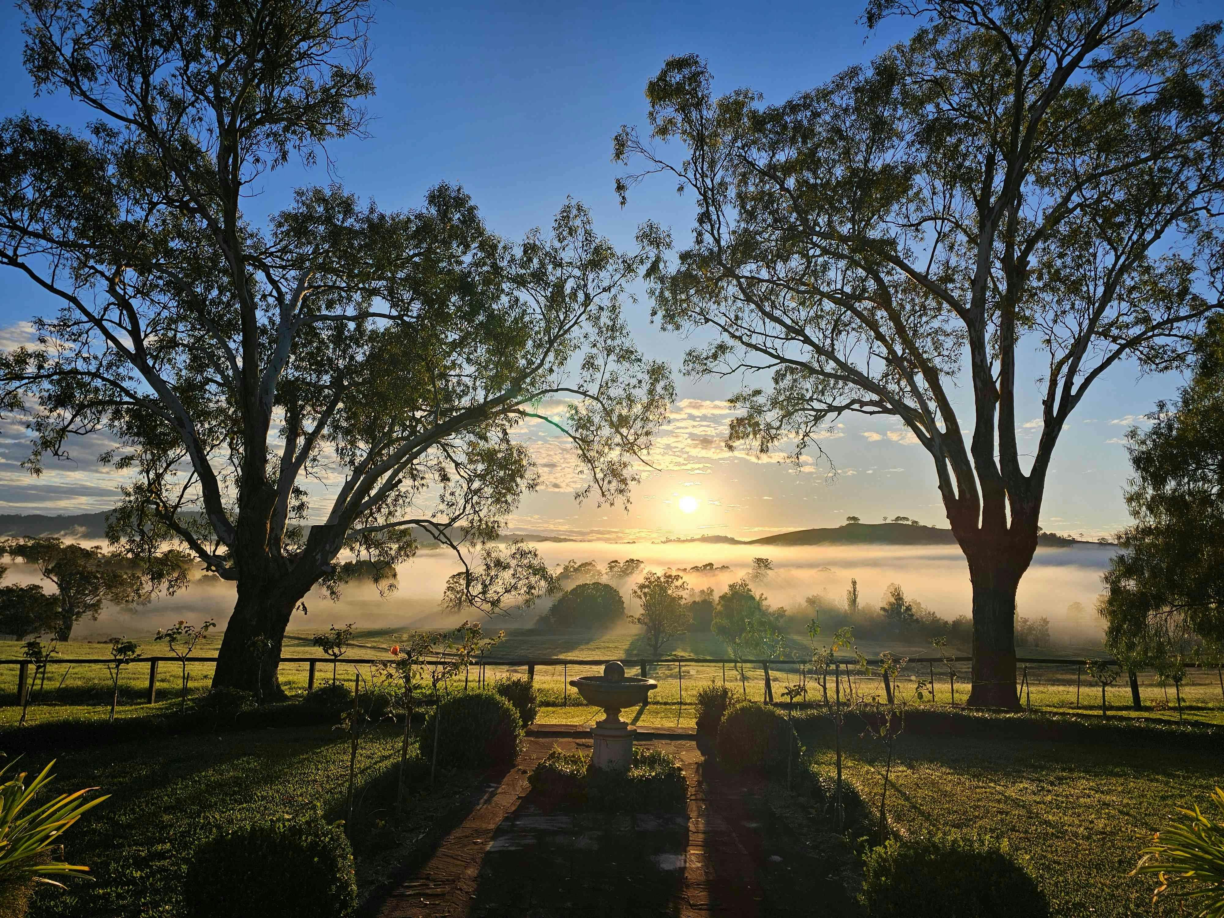 Camyr Allyn Homestead