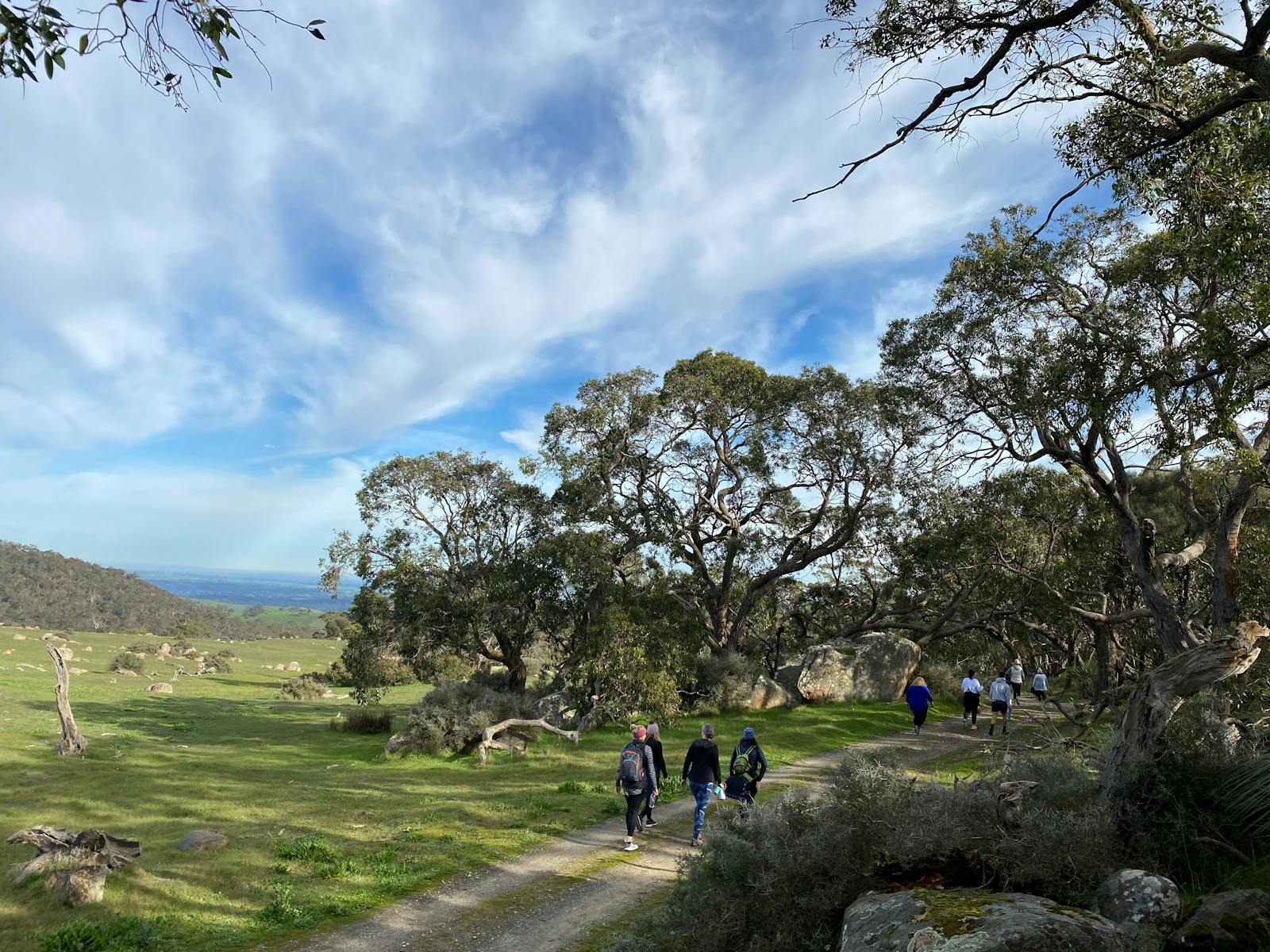 Image for Sunrise Walk and Picnic Breakfast- Barossa Vintage Festival