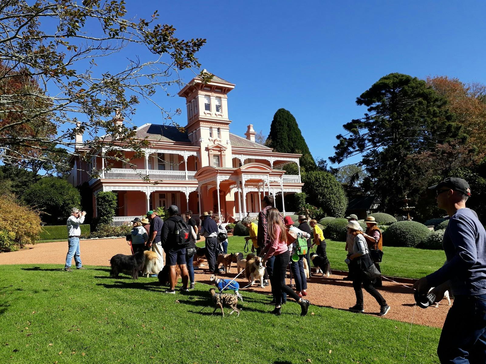 International Dog's Day Out at Retford Park, Bowral