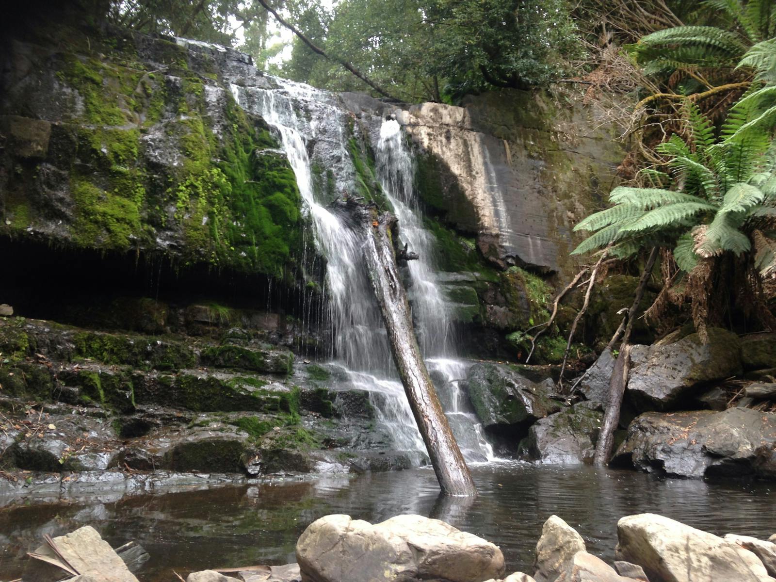 Lilydale Falls